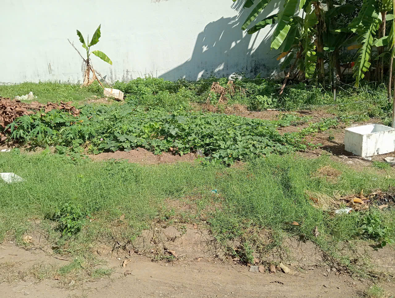 Đường 64 Bình Trưng Đông Q2 (3)