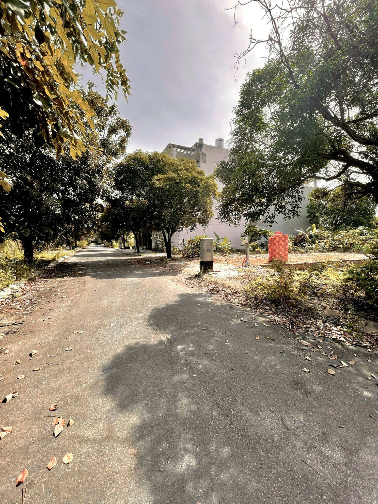 z6362928799060_c0c3081a6a470ff60659006a68978474