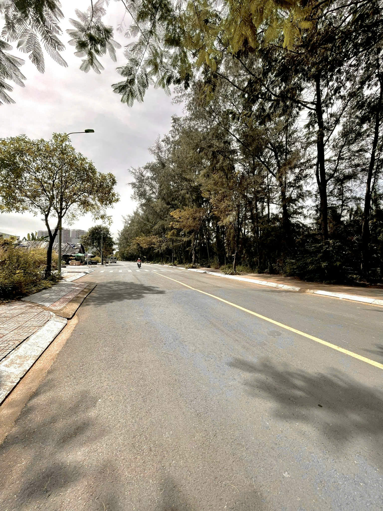 z6362928799670_e464dacf77414e0525c2c888ac95248b