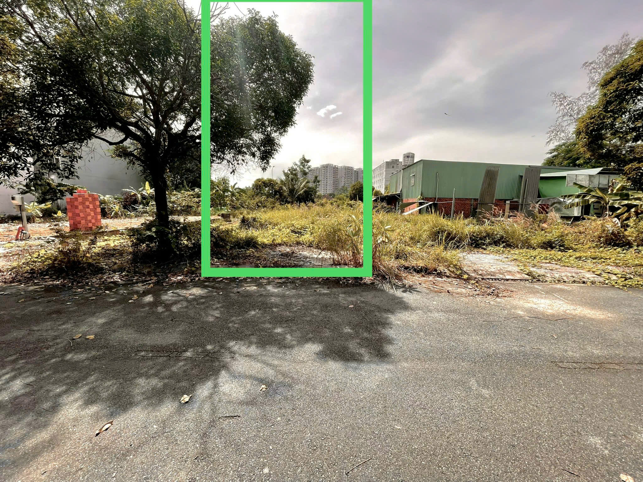 z6362928816468_5b955f55e55cb248362955dad8ba0fb4