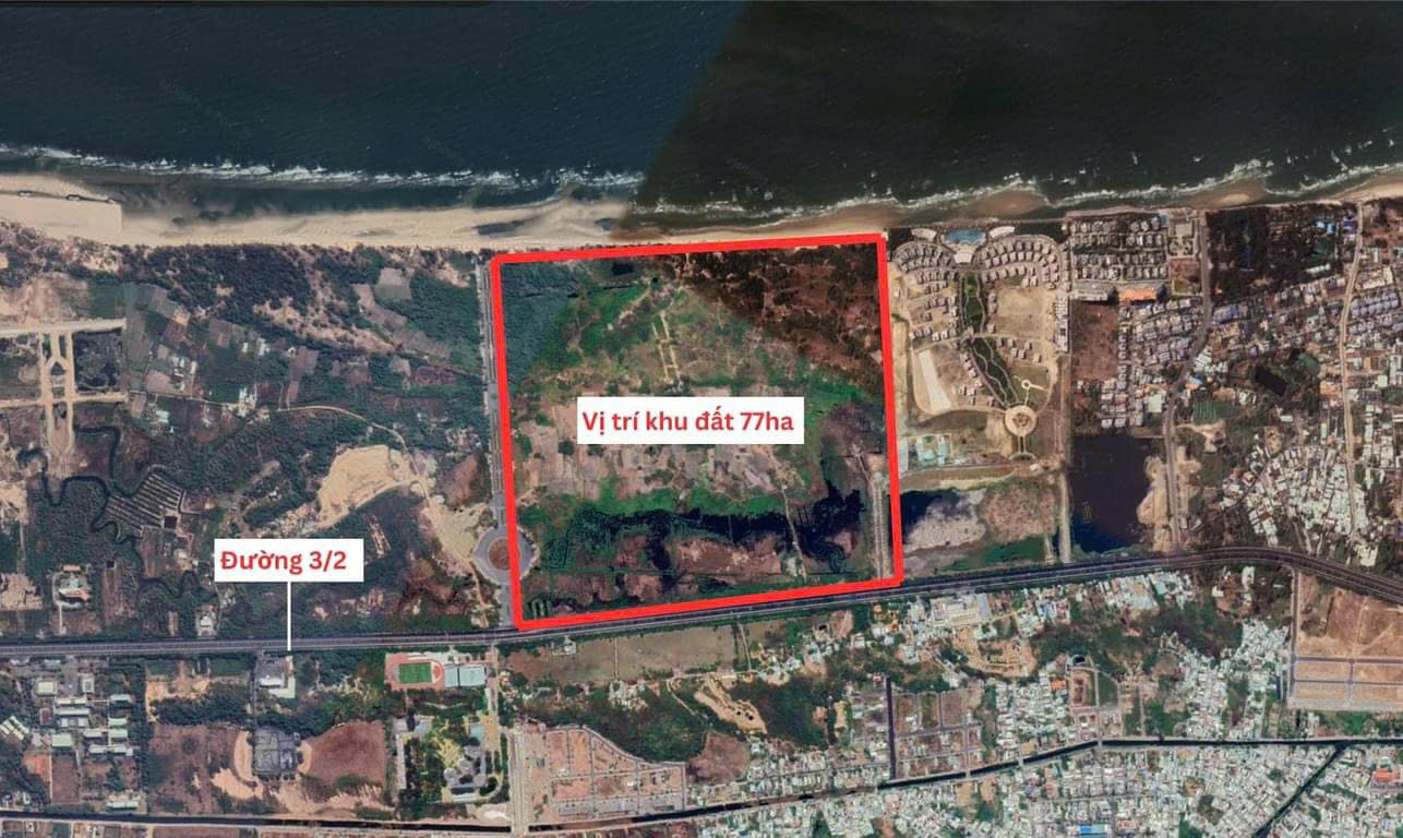 z6133268981654_643b89991fc8e36d0798c6f904d68fe2